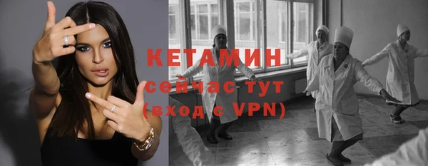 стаф Верея