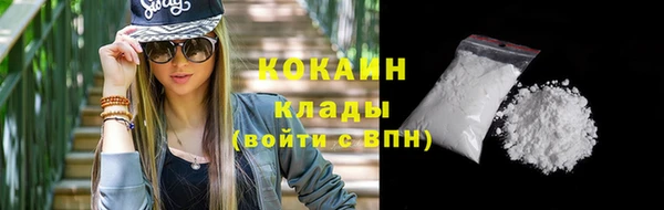стаф Верея