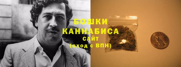 стаф Верея