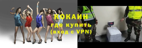 стаф Верея