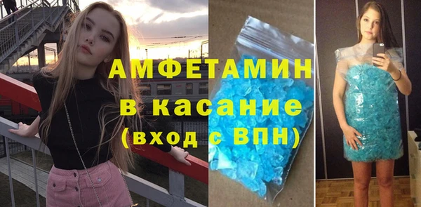 стаф Верея