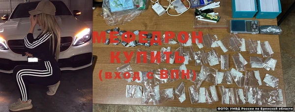 стаф Верея