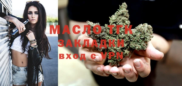 стаф Верея