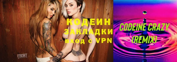 стаф Верея
