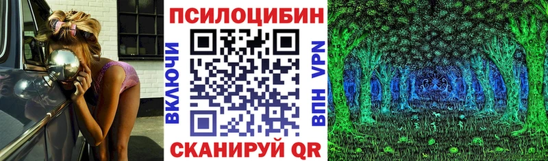 магазин продажи наркотиков  Очёр  Галлюциногенные грибы Cubensis 